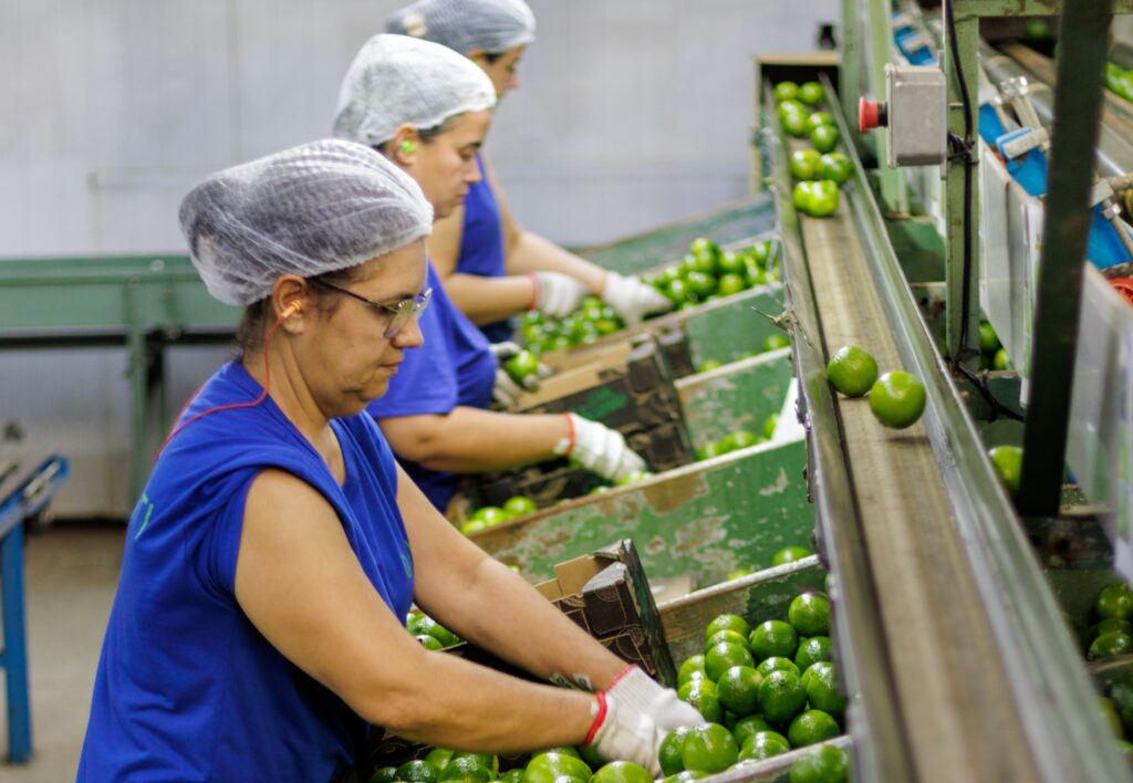Exportação de limão para destinos internacionais